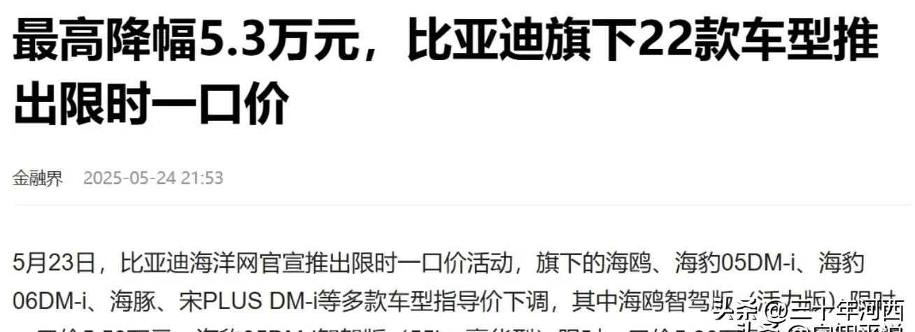 比亞迪突然撤出價格戰,全行業盈利率慘烈,中國汽車等的就是這天