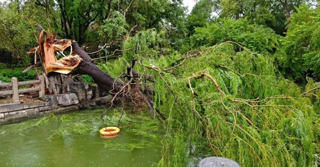 一秒天黑 濟南突降暴雨