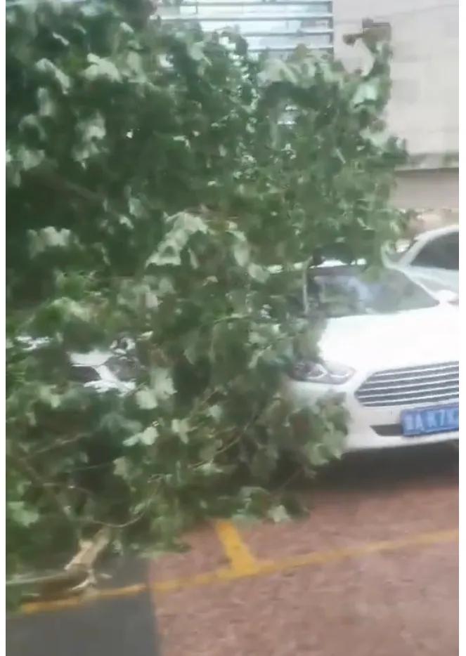一秒天黑 濟南突降暴雨